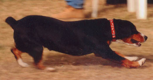 Penny approaches the box